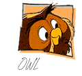 owl
