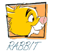 rabbit